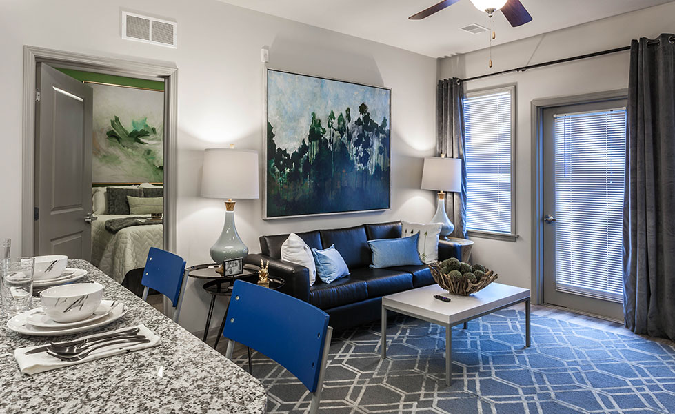 Furnished apartment living space